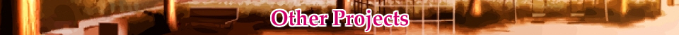 Other Projects banner